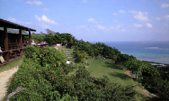 トリップアドバイザー提供