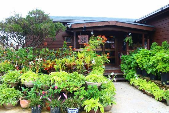 トリップアドバイザー提供