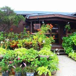 トリップアドバイザー提供