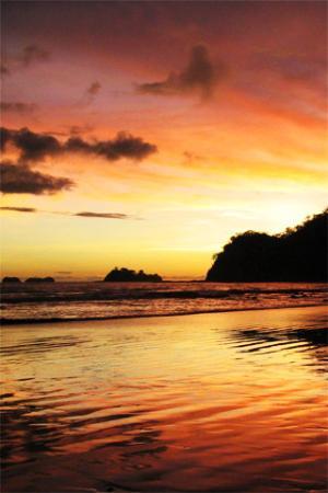 トリップアドバイザー提供