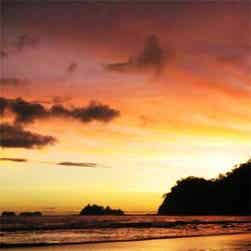 トリップアドバイザー提供