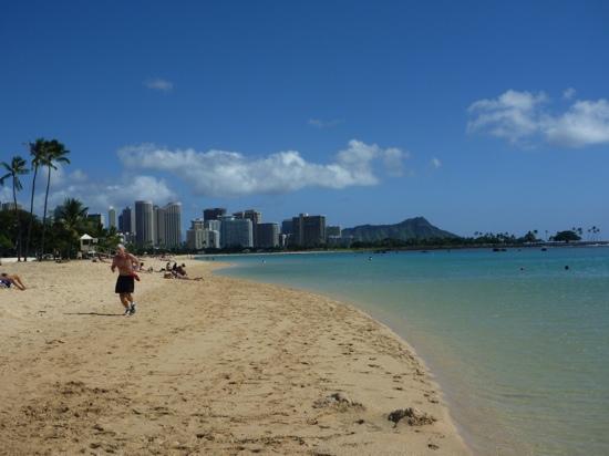 トリップアドバイザー提供