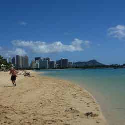 トリップアドバイザー提供