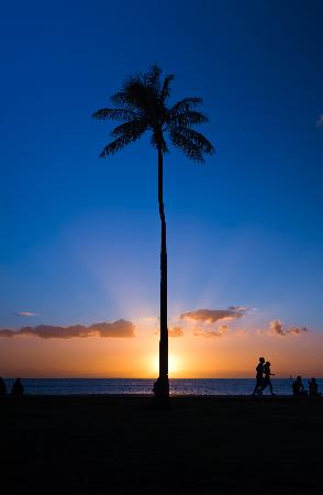 トリップアドバイザー提供