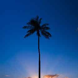 トリップアドバイザー提供