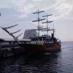 トリップアドバイザー提供