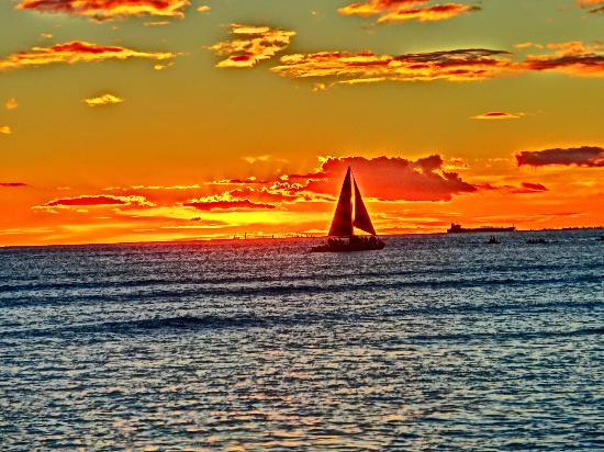 トリップアドバイザー提供