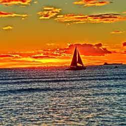 トリップアドバイザー提供