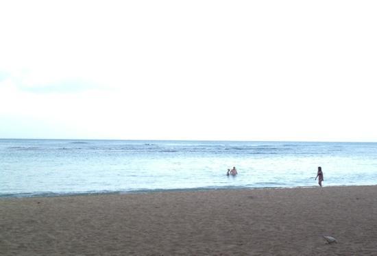 トリップアドバイザー提供