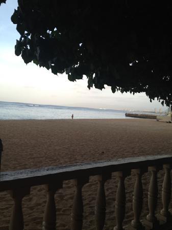 トリップアドバイザー提供