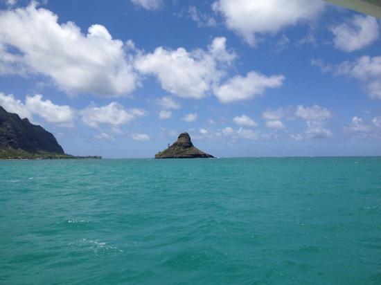 トリップアドバイザー提供