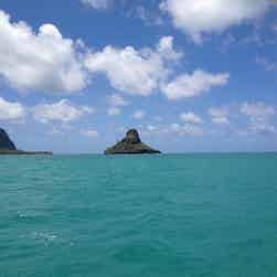 トリップアドバイザー提供