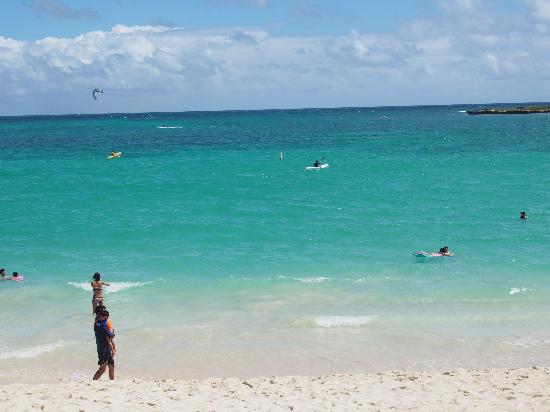 トリップアドバイザー提供