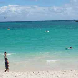 トリップアドバイザー提供