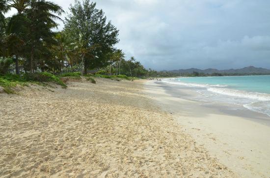 トリップアドバイザー提供