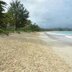 トリップアドバイザー提供