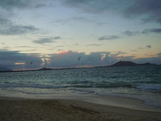 トリップアドバイザー提供