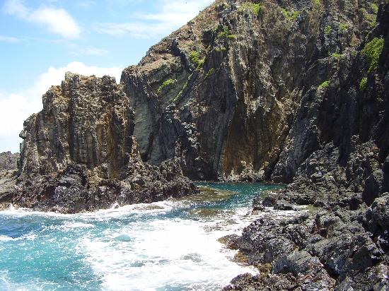 トリップアドバイザー提供