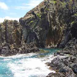 トリップアドバイザー提供