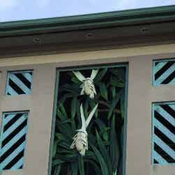 トリップアドバイザー提供