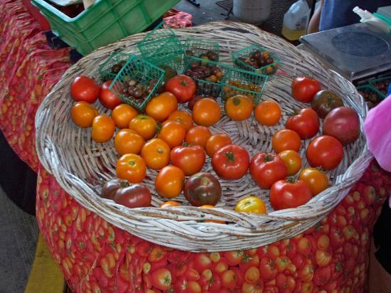 トリップアドバイザー提供