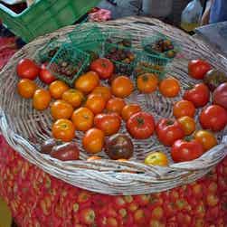 トリップアドバイザー提供