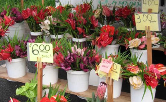 トリップアドバイザー提供