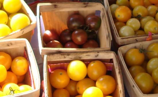 トリップアドバイザー提供