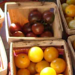 トリップアドバイザー提供