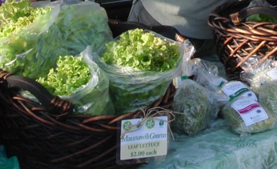 トリップアドバイザー提供