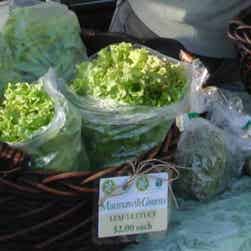 トリップアドバイザー提供