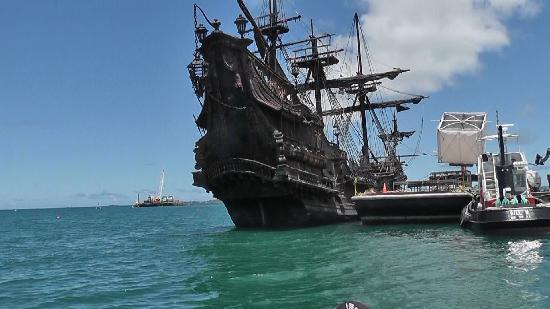 トリップアドバイザー提供