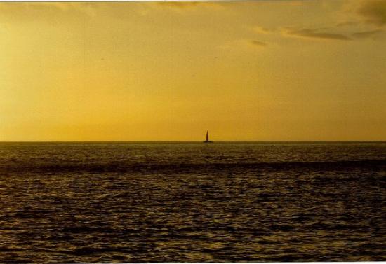 トリップアドバイザー提供