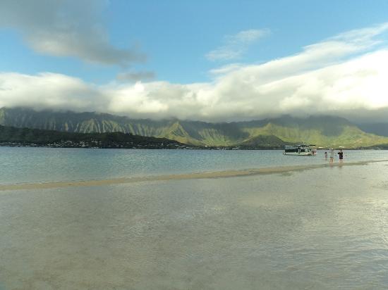 トリップアドバイザー提供