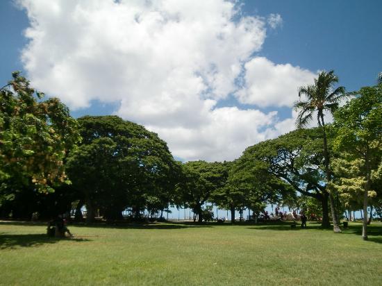 トリップアドバイザー提供