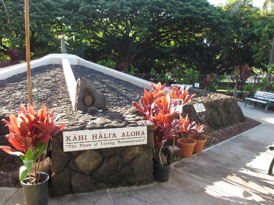 トリップアドバイザー提供