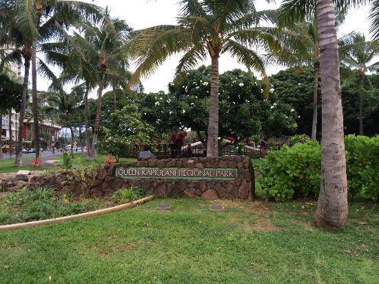 トリップアドバイザー提供