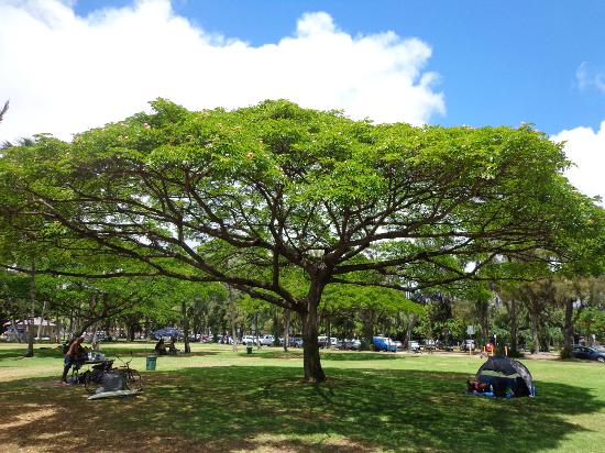 トリップアドバイザー提供