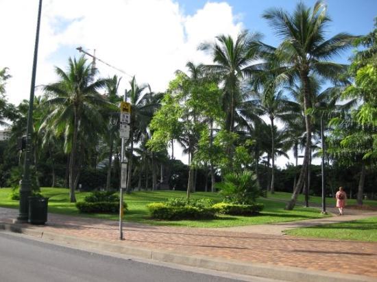 トリップアドバイザー提供