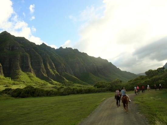 トリップアドバイザー提供