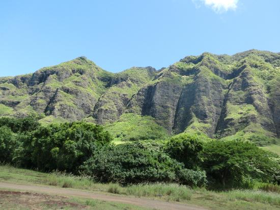 トリップアドバイザー提供