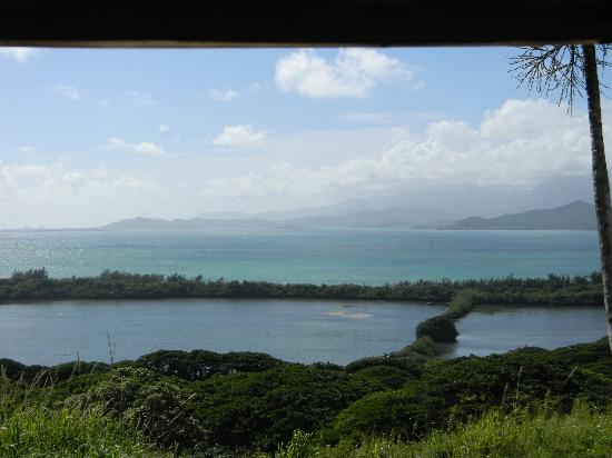 トリップアドバイザー提供