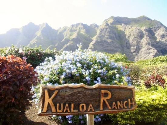 トリップアドバイザー提供