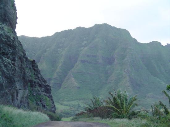 トリップアドバイザー提供