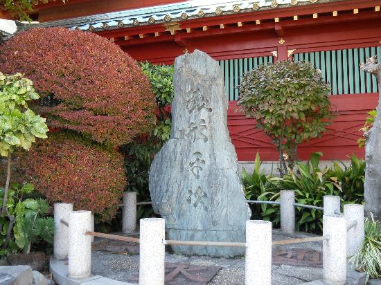 トリップアドバイザー提供