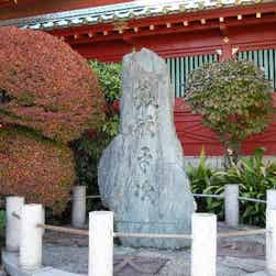 トリップアドバイザー提供