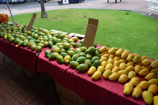 トリップアドバイザー提供