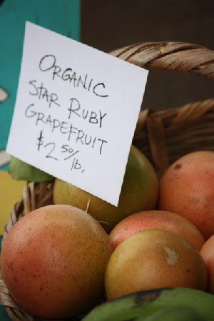 トリップアドバイザー提供