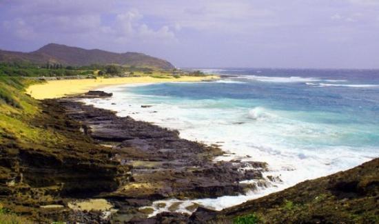 トリップアドバイザー提供