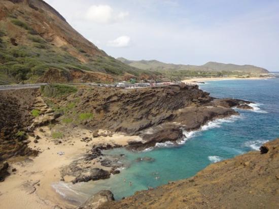 トリップアドバイザー提供